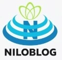مشاوره در انجام پایان نامه-پرسشنامه